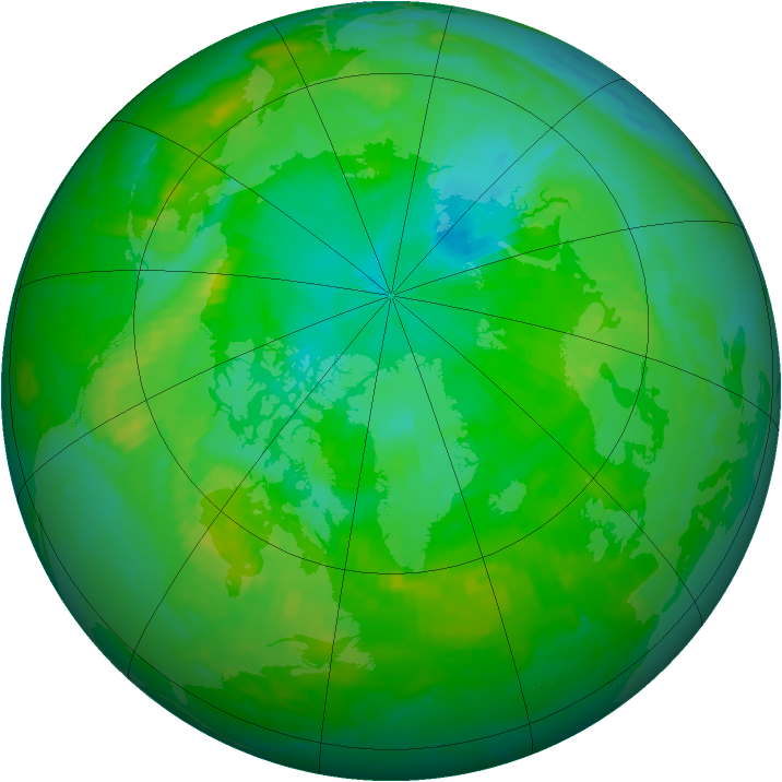 Arctic ozone map for 29 July 1999